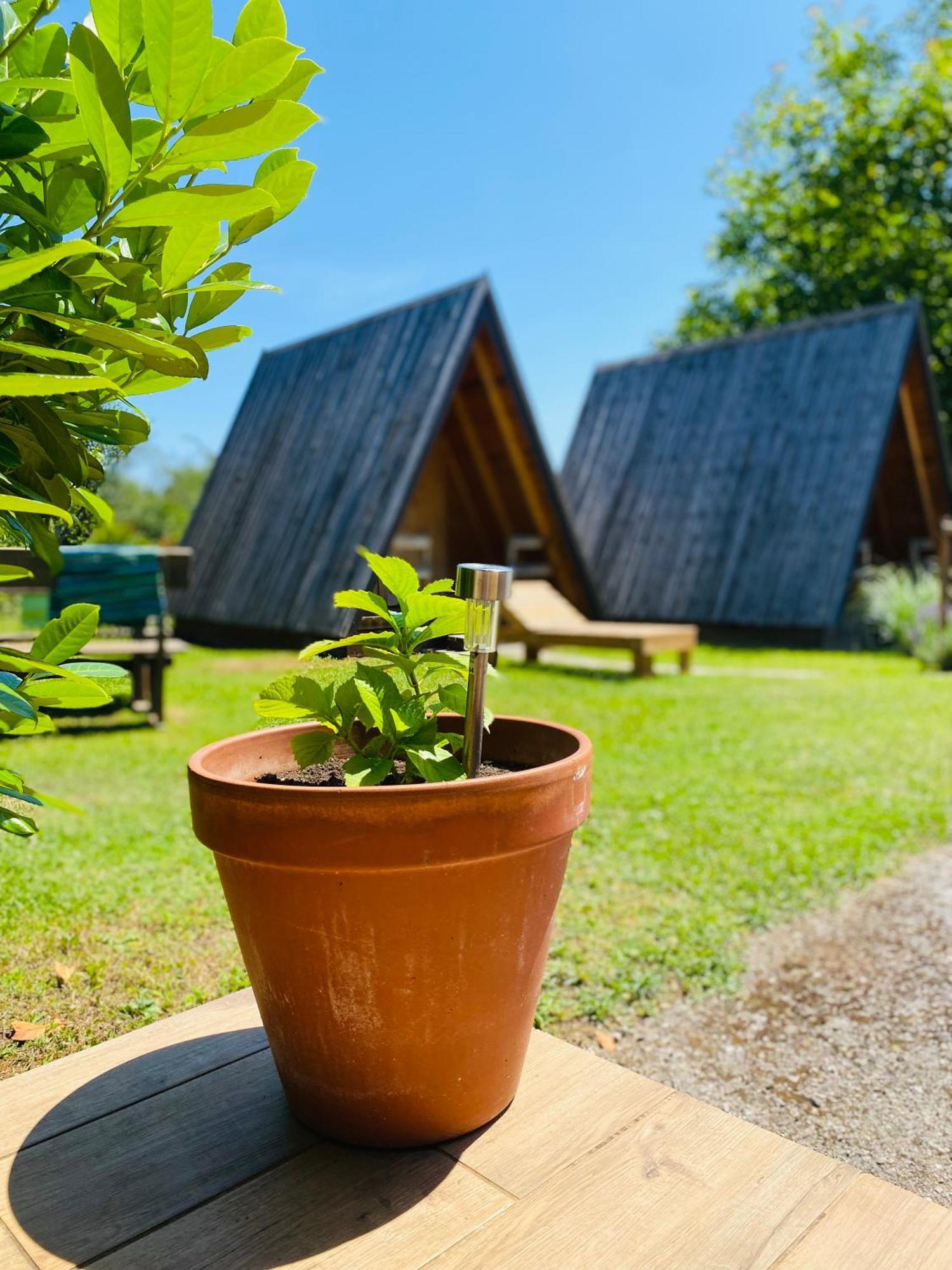 Rooms & Glamping Lana Haus Licko Petrovo Selo Eksteriør bilde